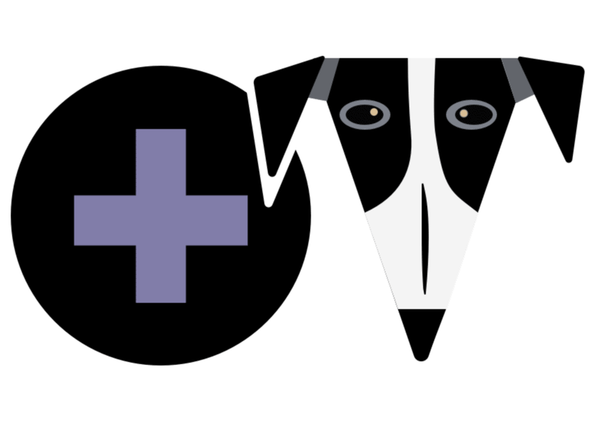 Dierenkliniek2